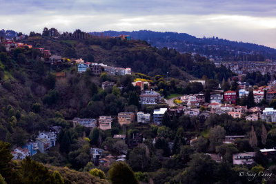 Berkeley Hills: the way we live now