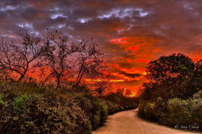 dawning at San Joaquin Wildlife Sanctuary