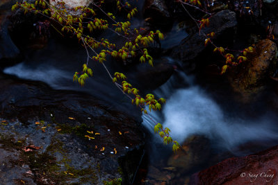 spring colors of poetic creek