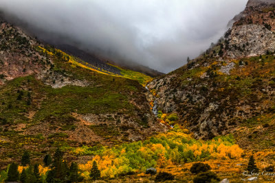 fall colors of eastern sierra