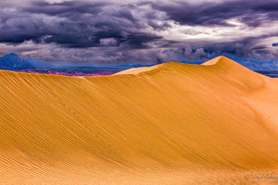 sand dune after a little rain