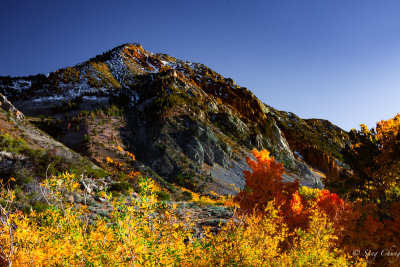 autoumn colors of Bishop Creek Mountains