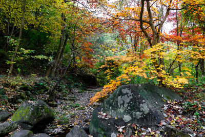 autumn colors of poetic creek of Mt.Meudung