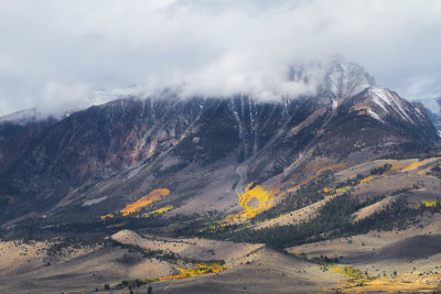 fall colors of Eastern Sierra mountains