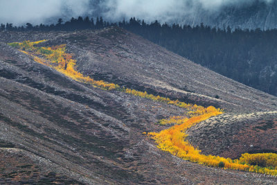 fall colors of Eastern Sierra Mountains