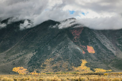 autumn colors of Eastern Sierra