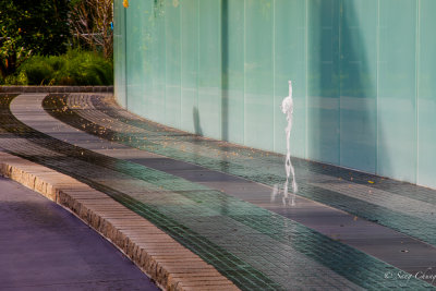 a walking ghost