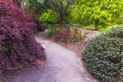 path to Asian Garden
