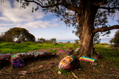 colors of mullers at Albany Bulb