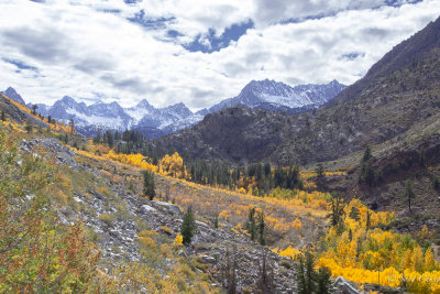 fall colors of Eastern Sierra