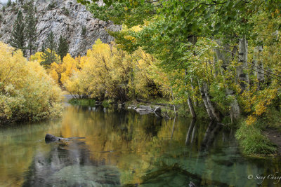 June Lake, fall colors