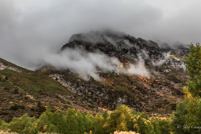 Silver Lake mountains, fall colors with mist