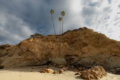 three palm trees of cliffhanger