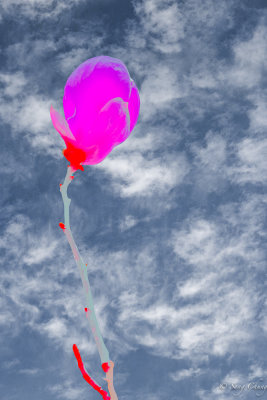 good morning , happy new year.