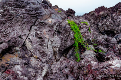 greens on volcanic rocks