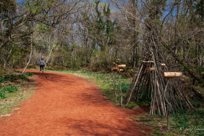 wooden-shelter