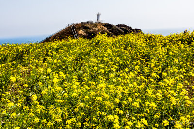 Jeju Island Lighthouse