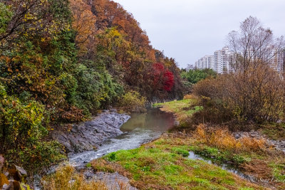 fall colors of a creek before Gwangju River
