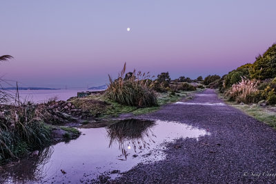 moon and Golden Gate Bridge on the left at Albany Bulb