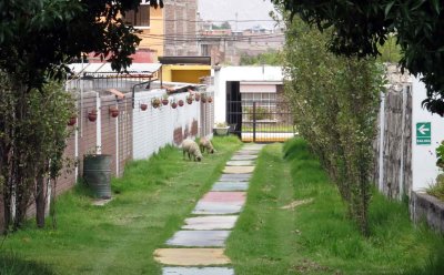 Entrance way from the street.