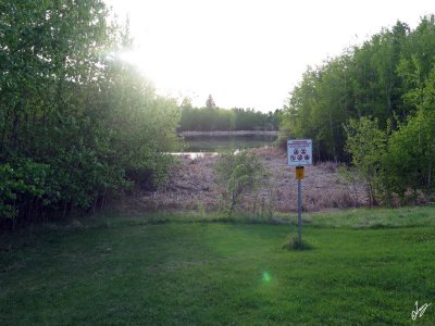 IMG_5556.jpg