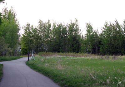IMG_5559.jpg