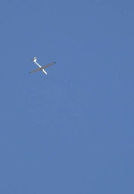 IMG_0352 higher... 