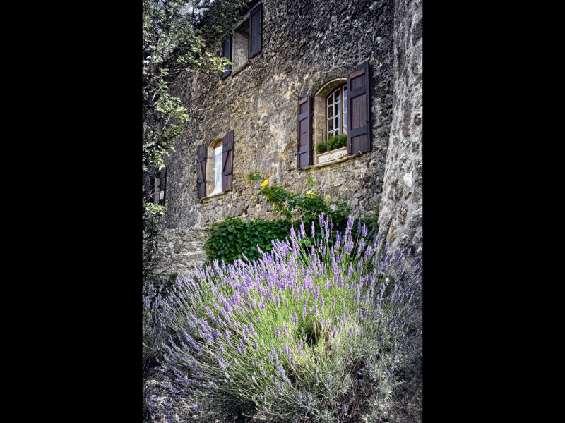 House and Lavender