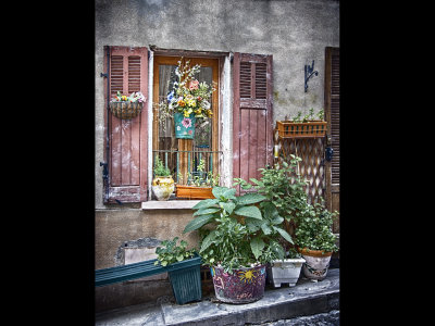 Window of Flowers - Garde la Freinet