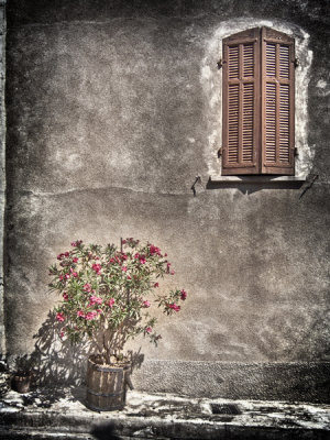 Windows of Provence