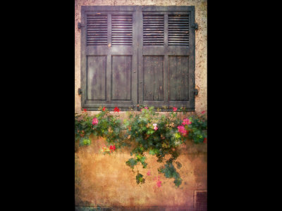 Bourmes window & flowers