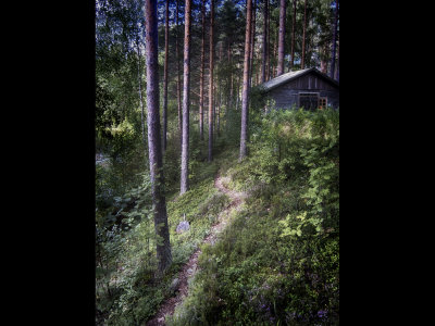 Forest Hut, Finland
