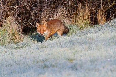 IMG_7974-V2.jpg