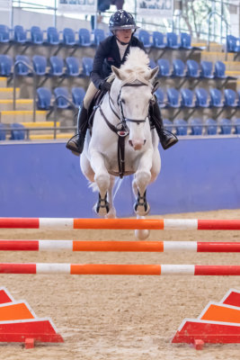 Class 4 Verband Stallions 6 Year Old