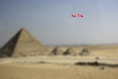 Day 10.jpg