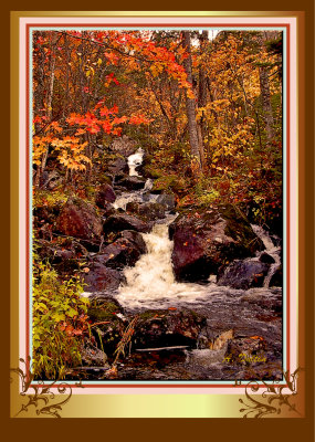 Autumn Stream