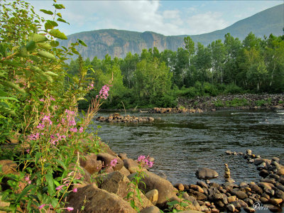 Parc des Hautes-Gorges