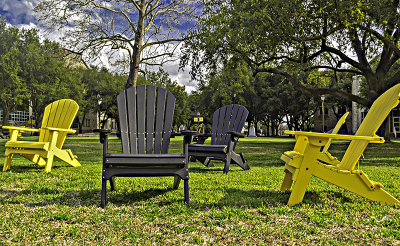 An array of chairs on the campus lawn