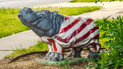 Patriotic Hippo