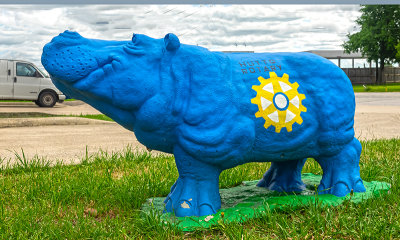 Rotary Hippo