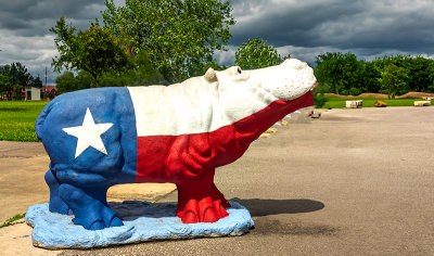 Texas State Flag Hippo