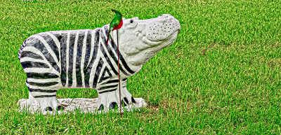 Zebra Hippo with bird friend