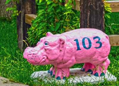 Address Hippo (Pretty in Pink)