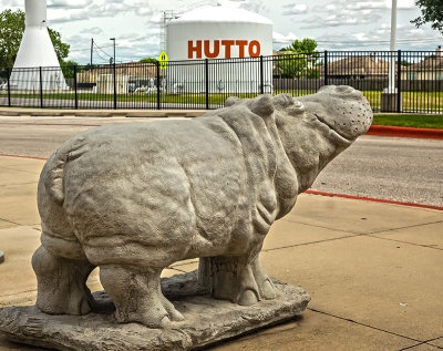 High School Senior Hippo (On the grounds of Hutto HS)