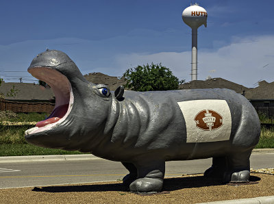Hutto HS football booster hippo