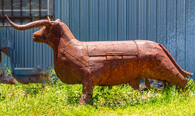 Meat smoker in the shape of a Longhorn Steer