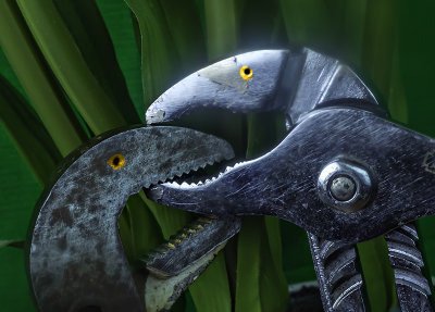 Channel-lock dinosaurs engaged in mortal combat