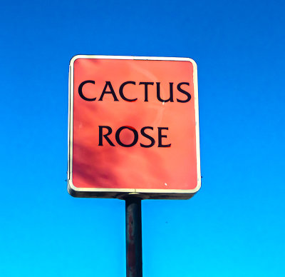 Cactus Rose Cafe , Circleville, Texas 