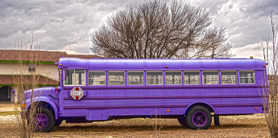 The Purple Bus,  (2/27)