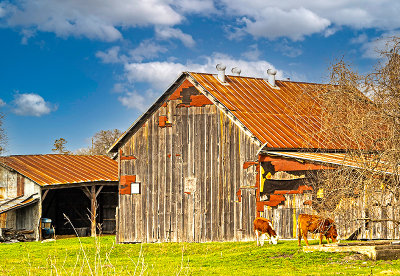 A barn with a few patches. (3/8)